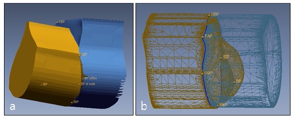 [Figure 3]