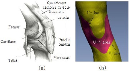 [Figure 5]