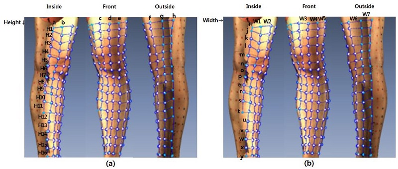 [Figure 1]