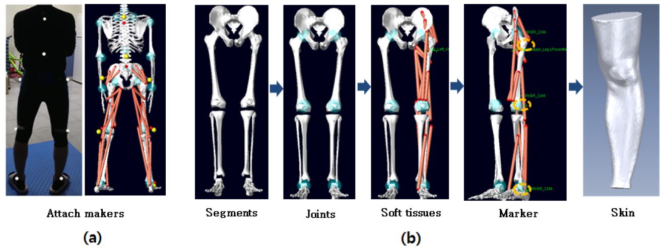 [Figure 5]