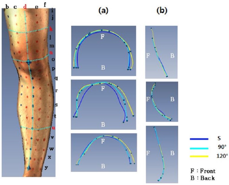 [Figure 6]