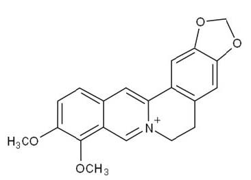 [Figure 1]