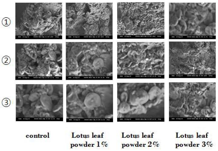 [Figure 2]