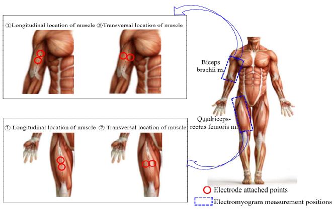 [Figure 2]