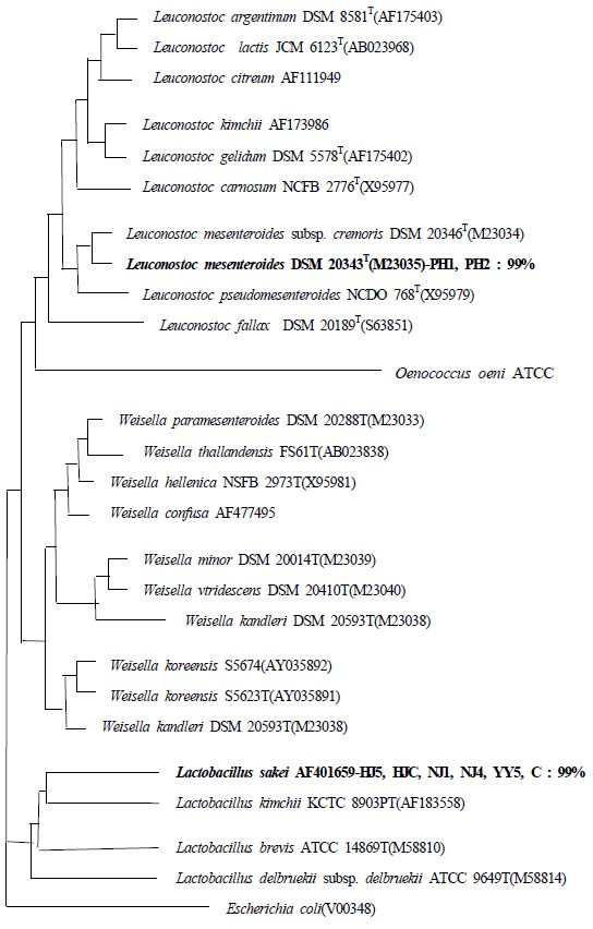 [Figure 1]