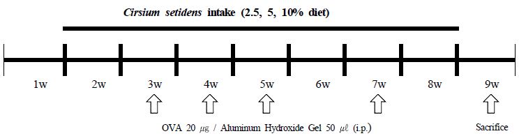 [Figure 1]