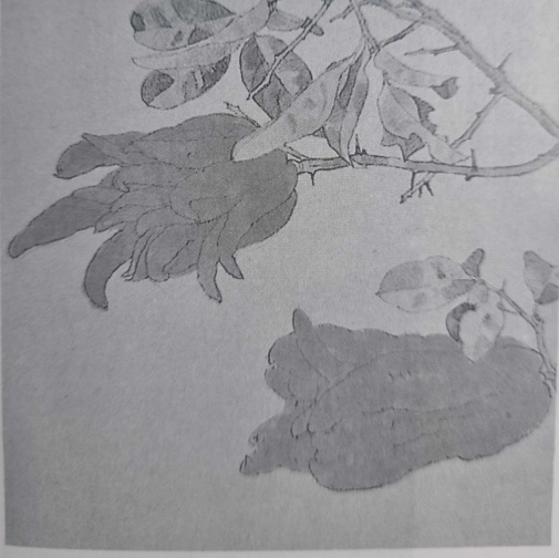 [그림 8] 
